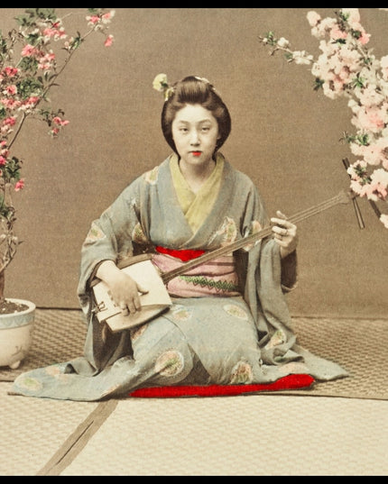 Geisha Playing Samisen