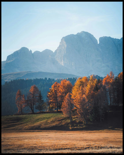 Ein Leinwandbild von herbstlich gefärbten Bäumen vor einer Berglandschaft in den Dolomiten.