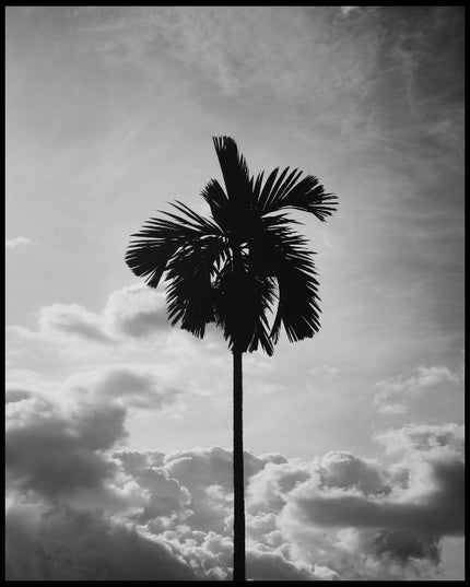 Ein Leinwandbild von einer einsamen Palme vor bewölktem Himmel in Schwarz-Weiß.