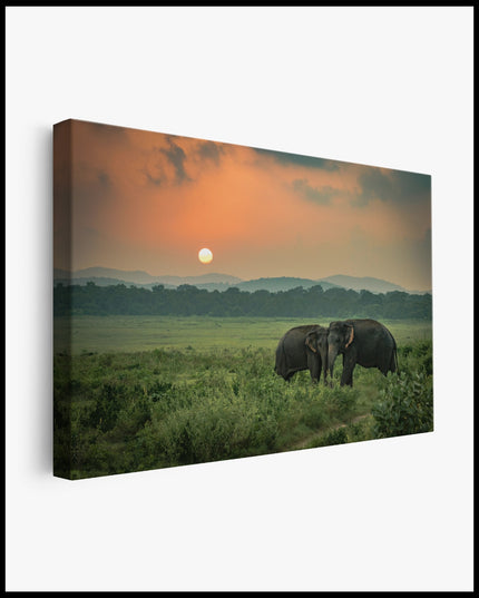 Elephant Family at Sunset Canvas