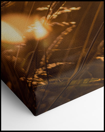 Grainfield Sunset Canvas