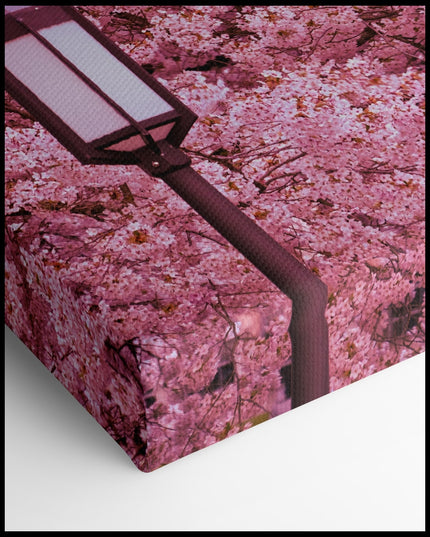 Cherry Blossom Canvas