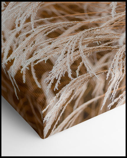 Frozen Pampas Grass Canvas