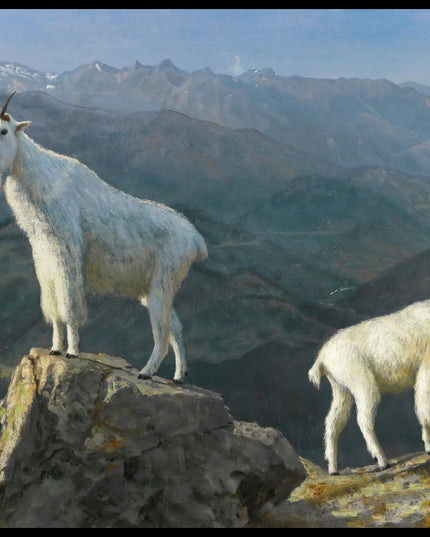 Mountain Goats