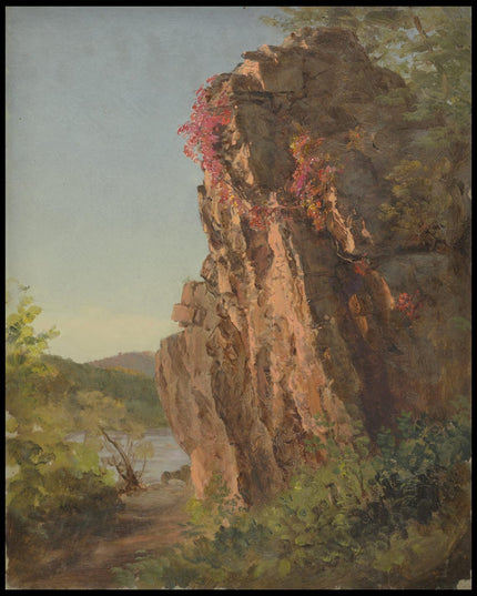 Landscape with large Rock