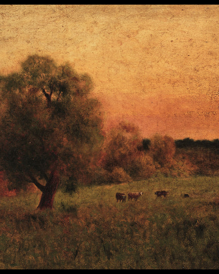 Cows In A Field