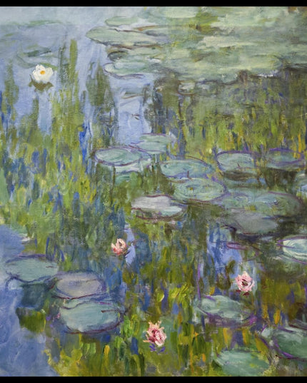 Water Lilies