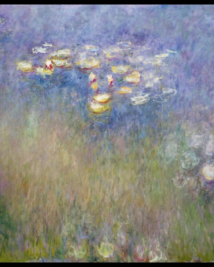 Water Lilies