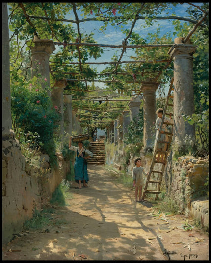 Pergola auf Capri