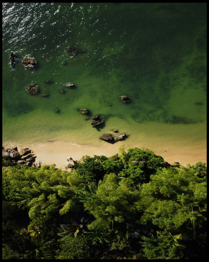 Ein Poster von einem Sandstrand mit grünlichem Wasser vor einem tropischen Wald.