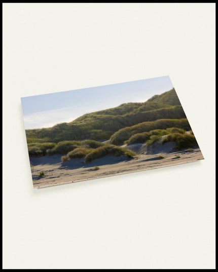 Eine Postkarte von Dünengras am Strand.